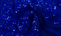 Sequinned Mesh Regal Royal