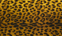 Printed Spandex Leopard