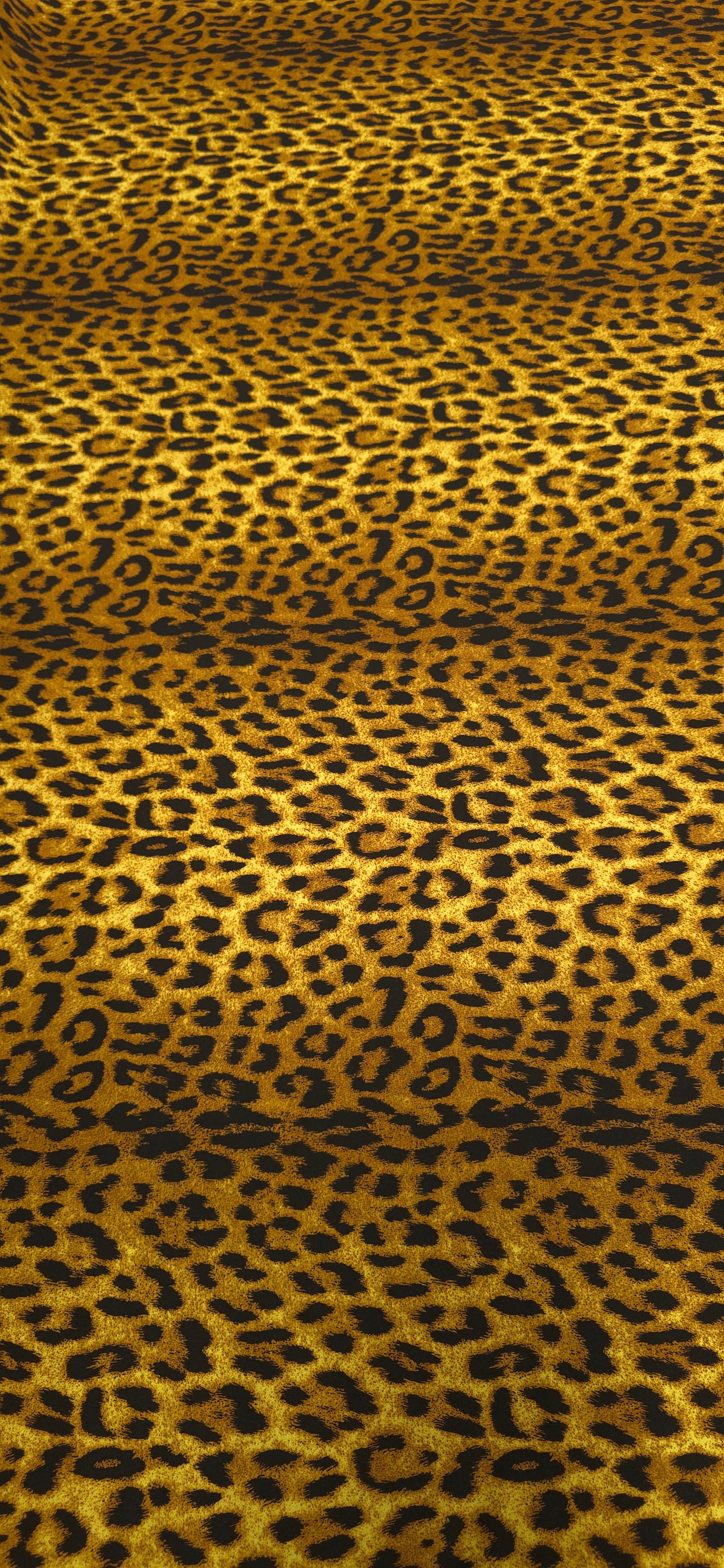 Printed Spandex Leopard