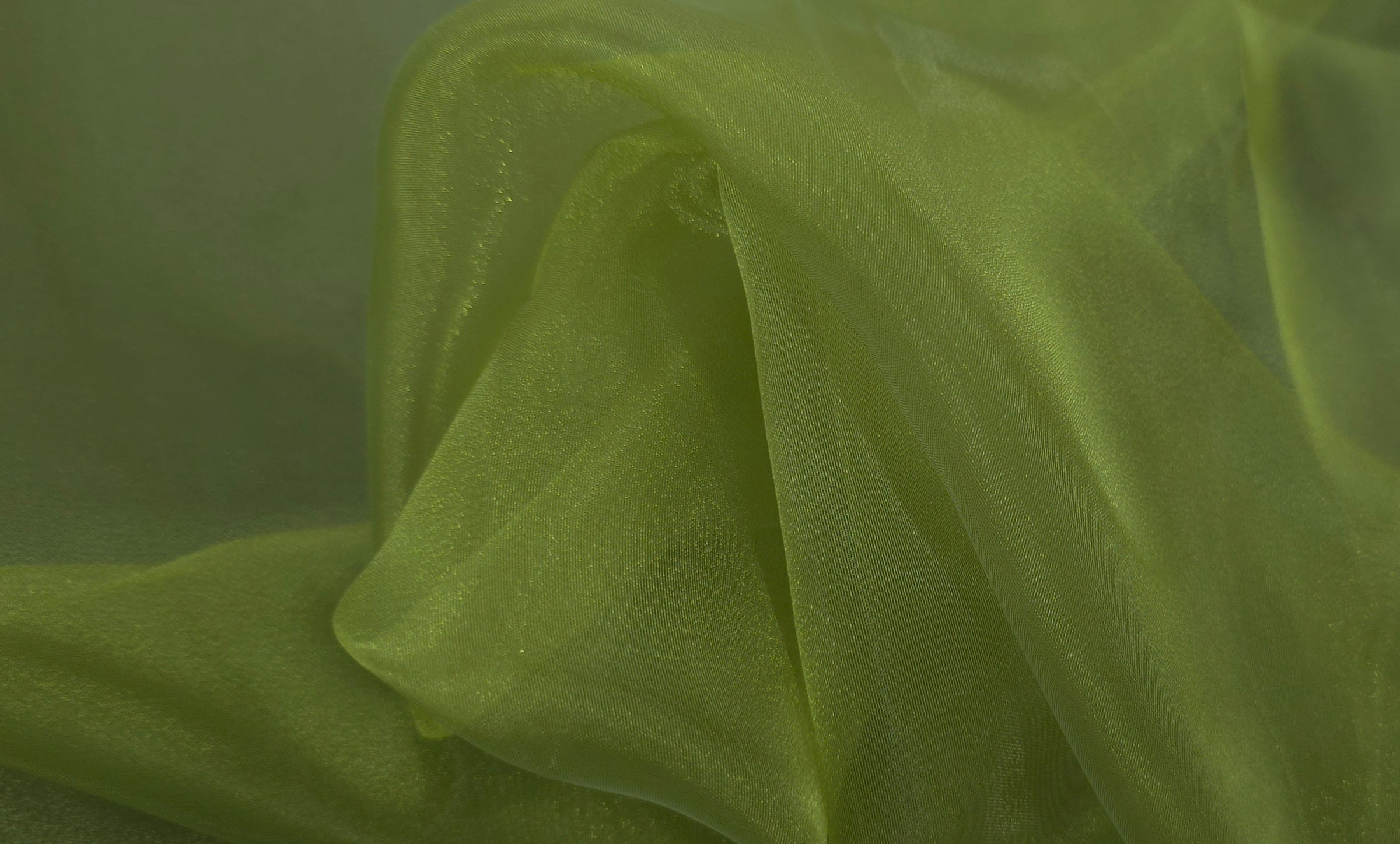 Crystal Organza 145cm Kiwi