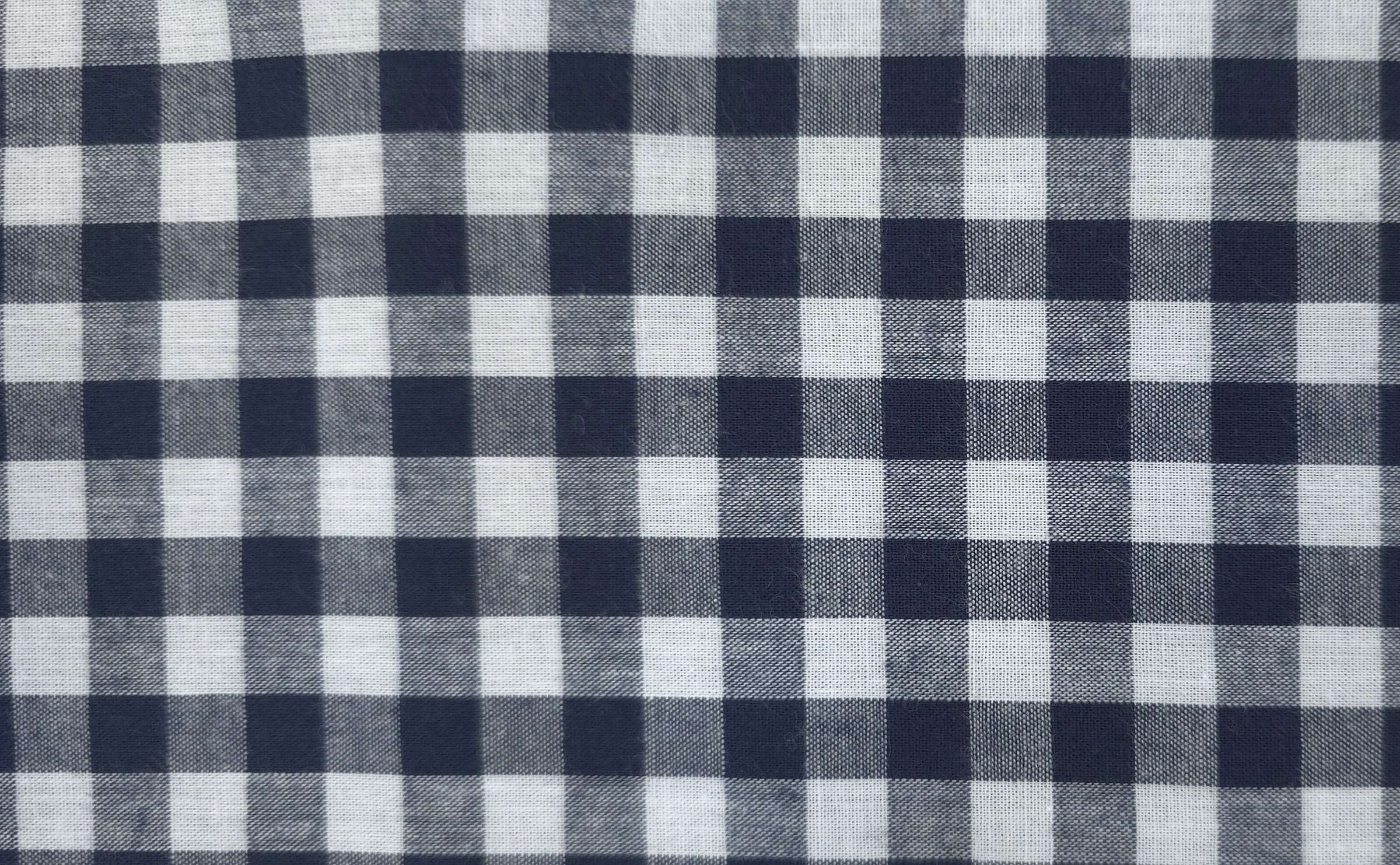 Gingham Navy