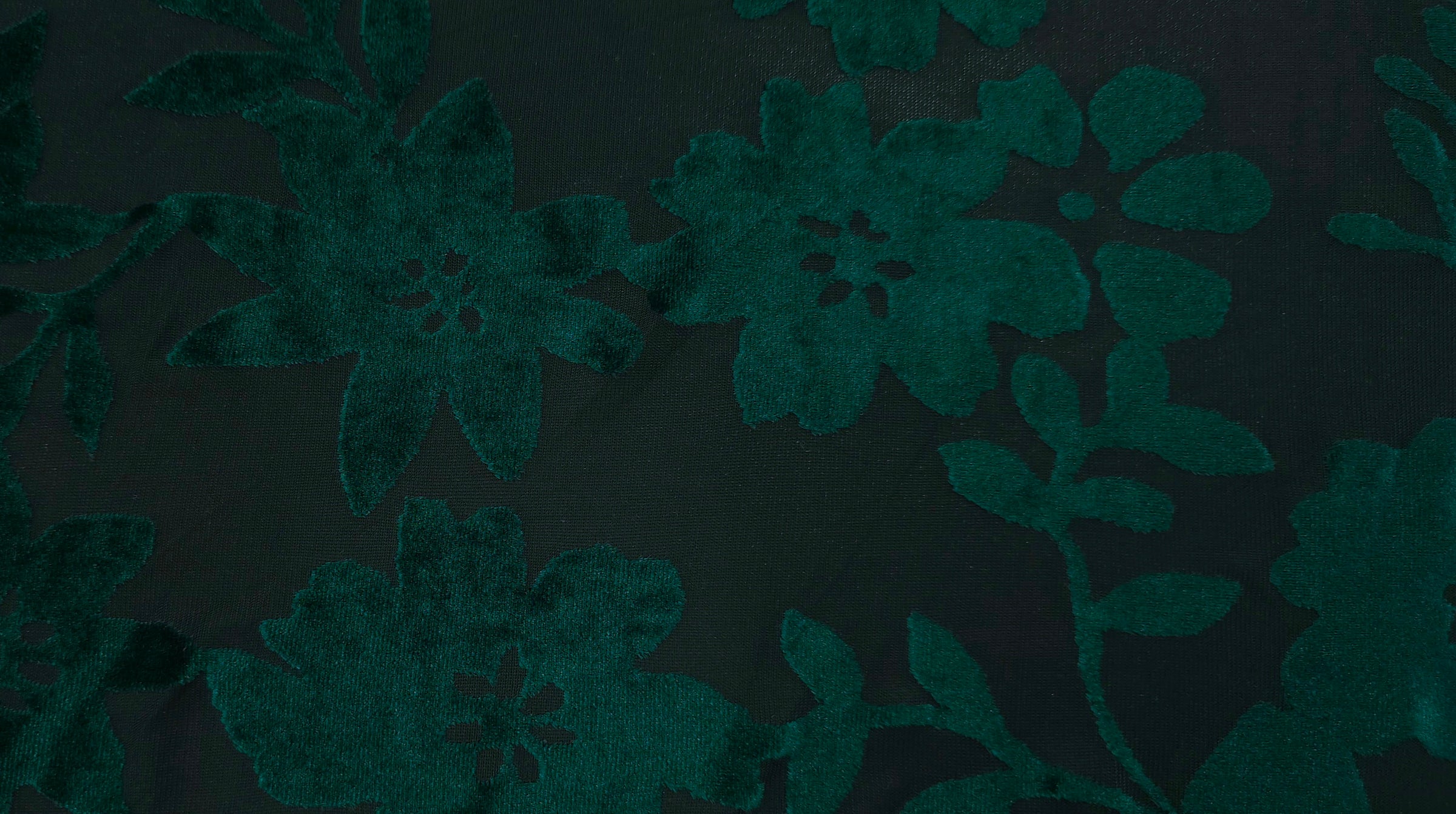 Burnout Velvet Knit Green Floral