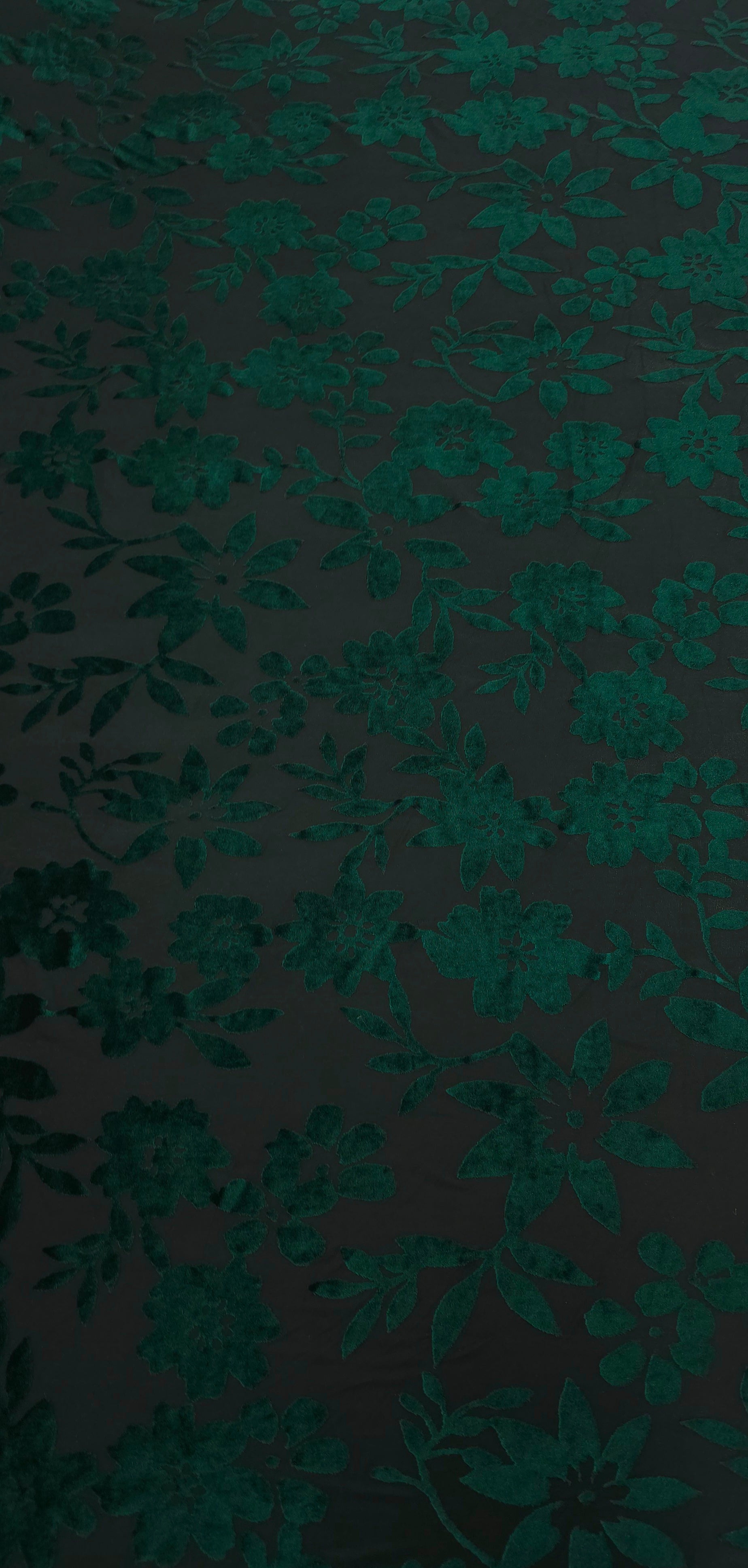 Burnout Velvet Knit Green Floral