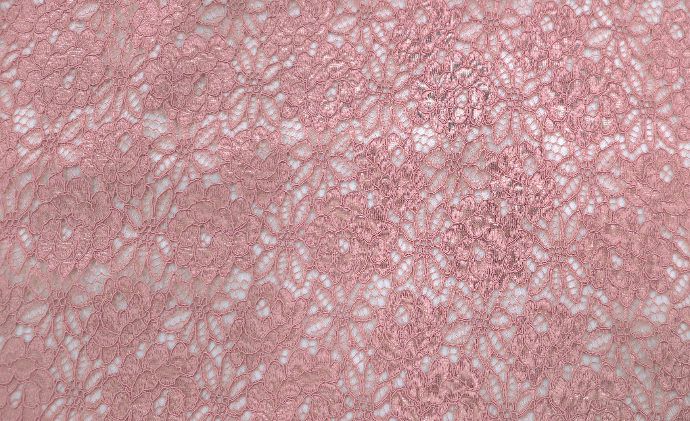 Bella Corded Lace Pink