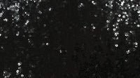 Stretch Sequin Black