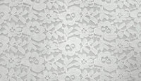 Embroidered Lace Magical Memory
