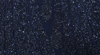 Sequinned Tulle Midnight Dream