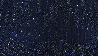 Sequinned Tulle Midnight Dream