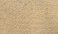 Lacey Stretch Lace Butter