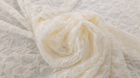 Lacey Stretch Lace Cream