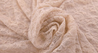 Lacey Stretch Lace Nude