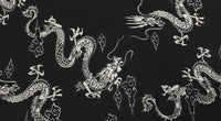 Woven Stretch Polyester Dragons