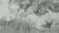 Printed Polyester Smoky Mirage