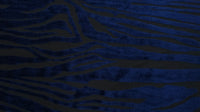 Burnout Velvet Mesh Animal Print