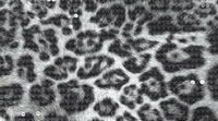 Sequinned Printed Knit Leopard