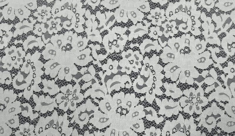 Embroidered Lace Enchanted Story Ivory