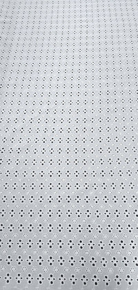 Embroidered Cotton Mirage Ivory