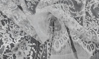 Embroidered Lace Dainty Promenade