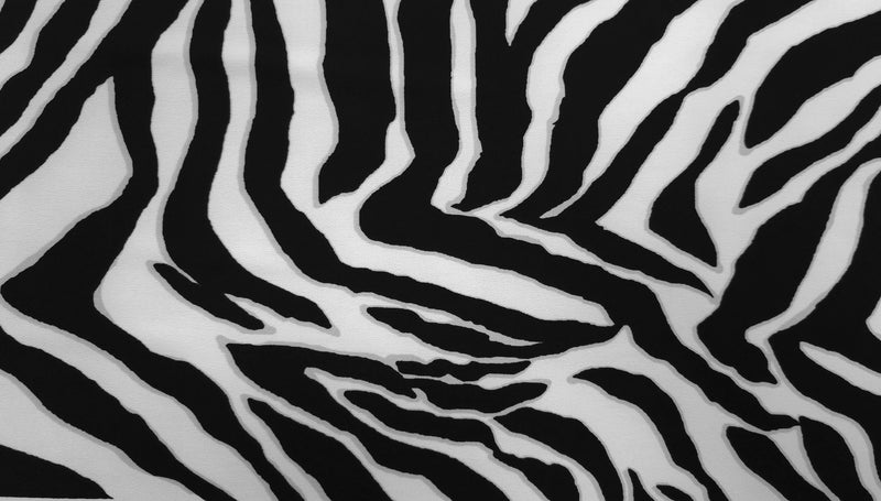 Printed Knit Zebra