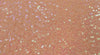 Stretch sequin swirl pearl peach