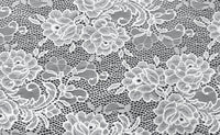 Stretch Lace Dream White