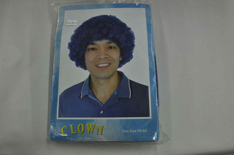 Clown Wig Blue