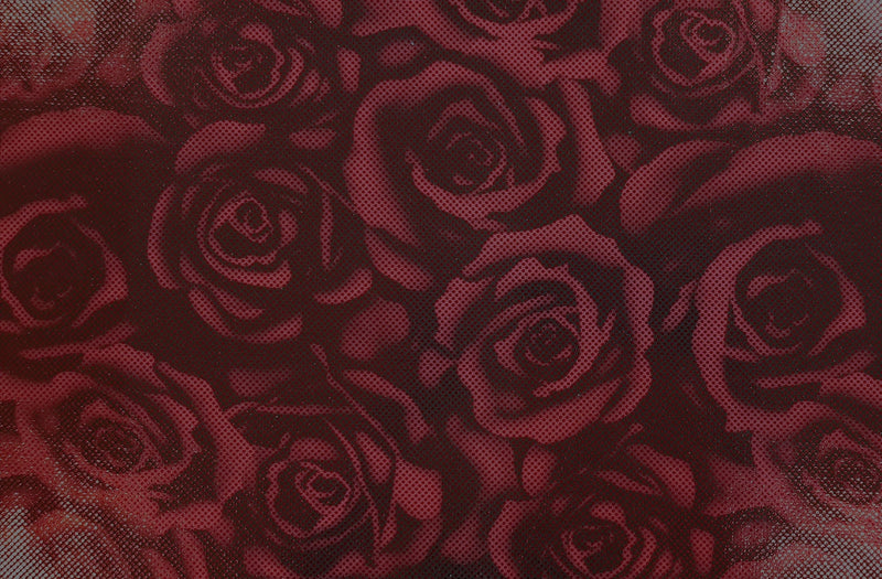 Printed Spandex Midnight Roses