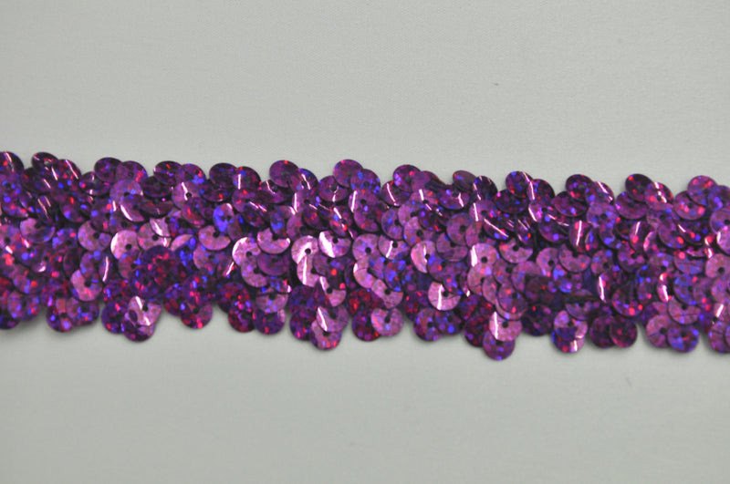 Sequin Purple Sparkle 3 Row 1