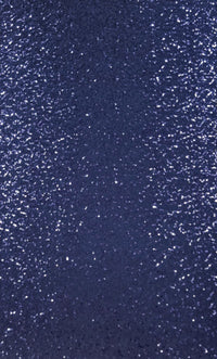 Sequin Swirl Navy 1.1