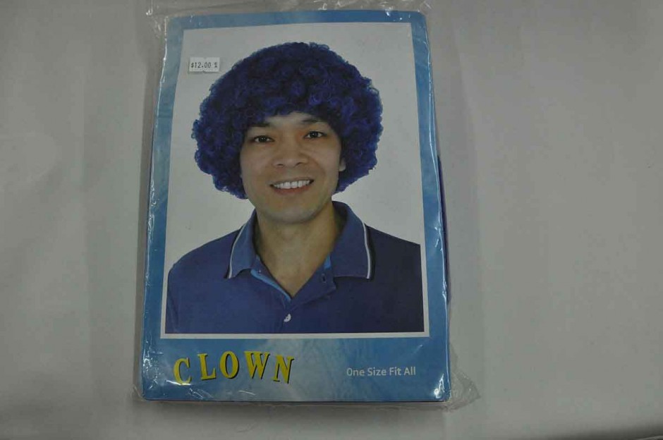 Blue Hair Clown Wig - wide 7