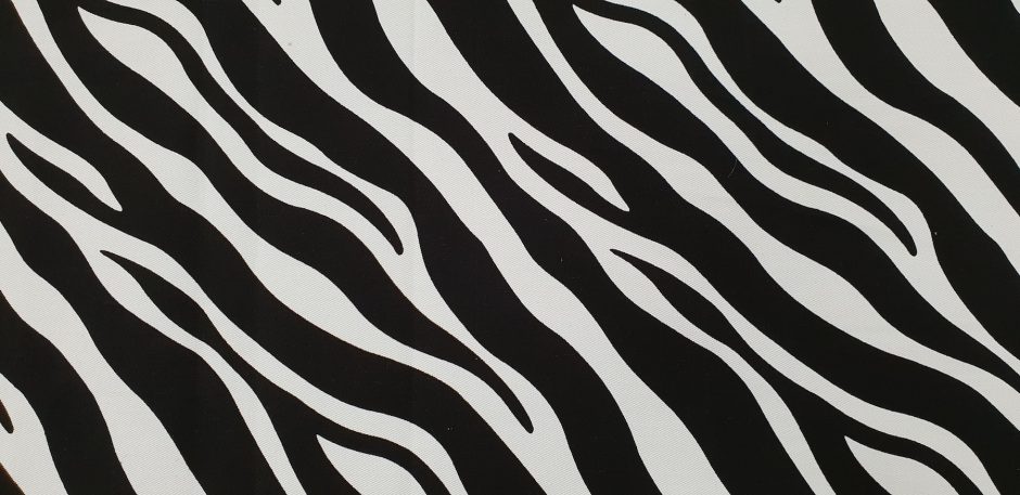 Printed Cotton Zebra | DK Fabrics